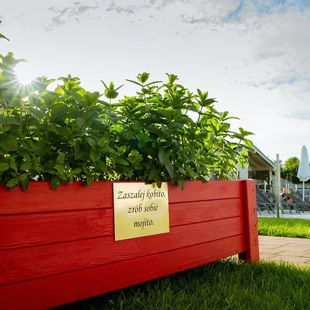 Zielone Wzgorze Mielno (Koszalin)